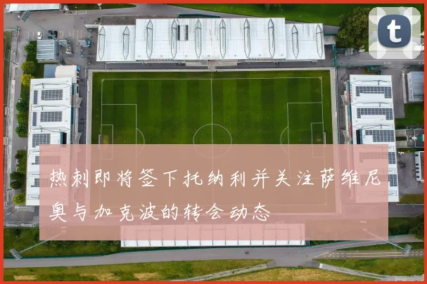 热刺即将签下托纳利并关注萨维尼奥与加克波的转会动态